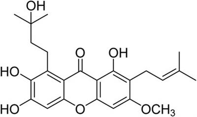 Cratoxylum<mark class="highlighted">xanthone</mark> C, a natural <mark class="highlighted">xanthone</mark>, inhibits lung cancer proliferation and metastasis by regulating STAT3 and FAK signal pathways